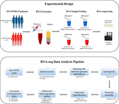 Identification of Novel Therapeutic Candidates Against SARS-CoV-2 Infections: An Application of RNA Sequencing Toward mRNA Based Nanotherapeutics